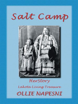cover image of SALT CAMP
